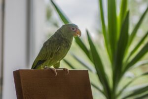 足臭に効果的な薬用クリームをAmazonと楽天で比較した結果は？