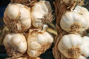 薬用デオクリームは医師推奨の効果があるのか？