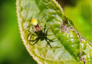 夏に足の臭いが強い原因と対策は？