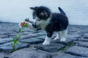 足の臭いを夏に効果的に対策する方法は？