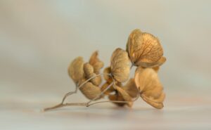 乾燥の重要性を理解するためのポイントは？
