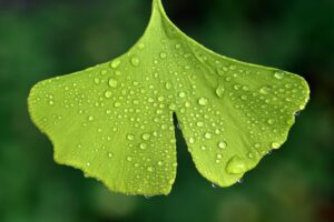 薬用クリームの副作用にはどんなものがあるのか？