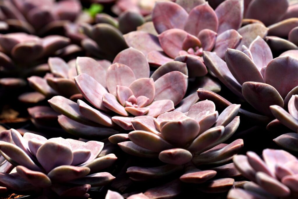 足の臭いを解消するための汗対策は？