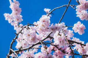 かかとの匂いの原因は何ですか？